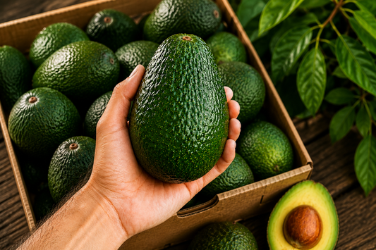 Palta Hass premium - 5 kilos