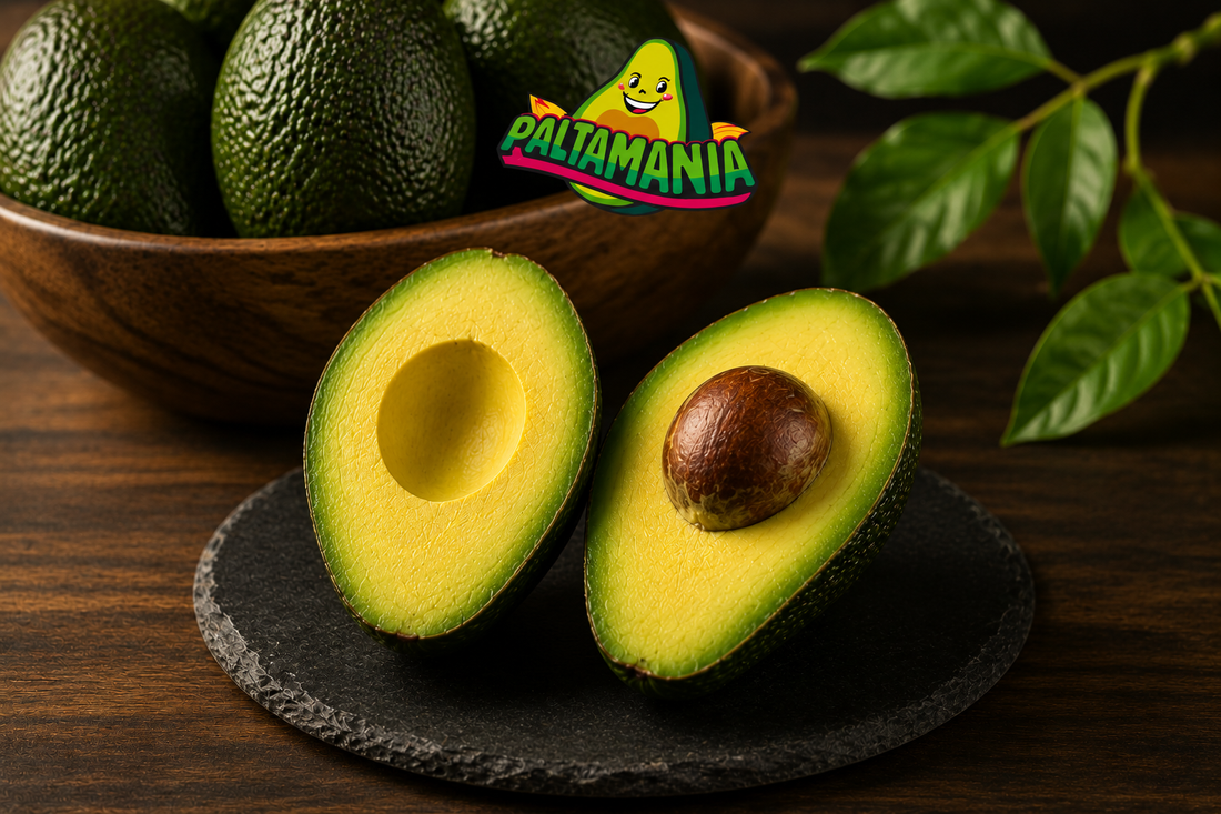 Cómo Elegir una Palta Hass Perfecta | Guía de Compra | Paltamanía