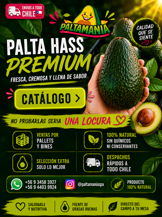 Cómo Emprender Vendiendo Paltas | Guía para Crear un Negocio Rentable