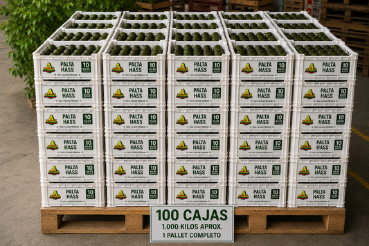 Palta Hass premium - 1.000 kilos