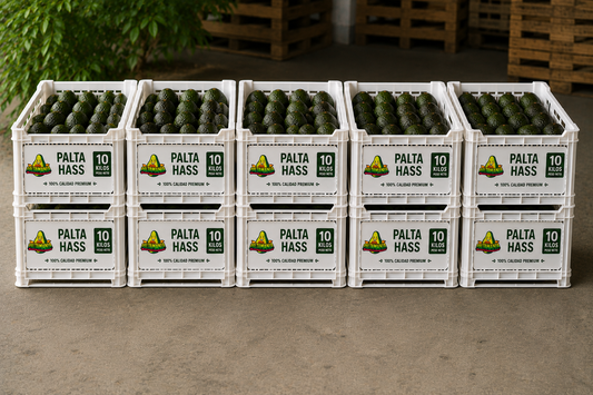 Palta Hass premium - 100 Kilos