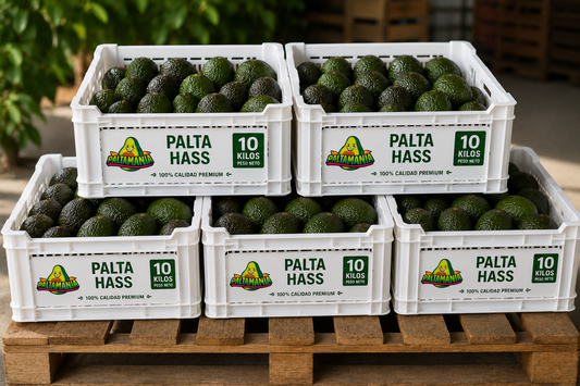 Palta Hass premium - 50 kilos