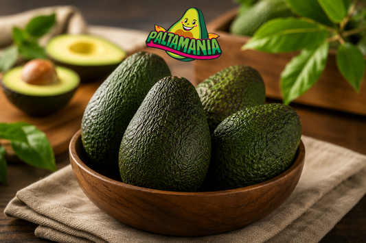 Palta HASS —— 20 kilos premium