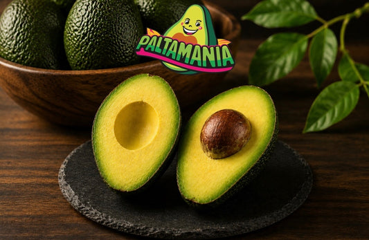 Palta Hass premium - 100 Kilos
