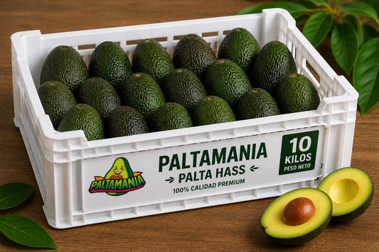 Palta Hass premium - 10 Kilos